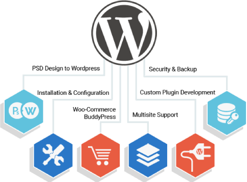 Wordpress Development