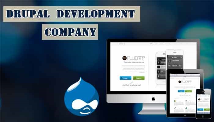 All You Need to Know Before Hiring a Drupal Development Company