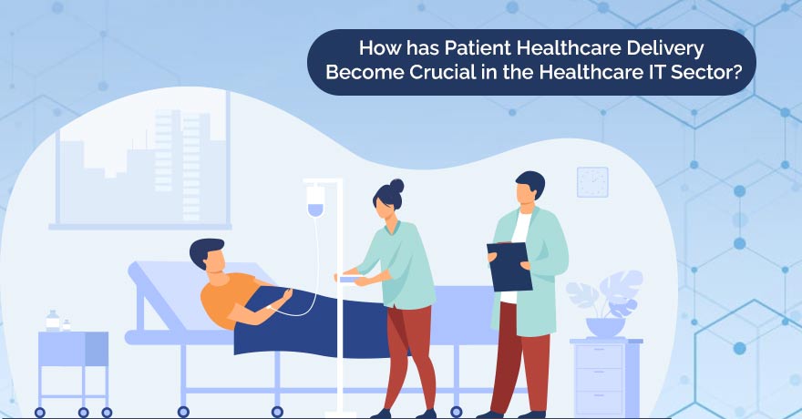 Patient Healthcare Delivery and its Importance in the Healthcare IT Industry